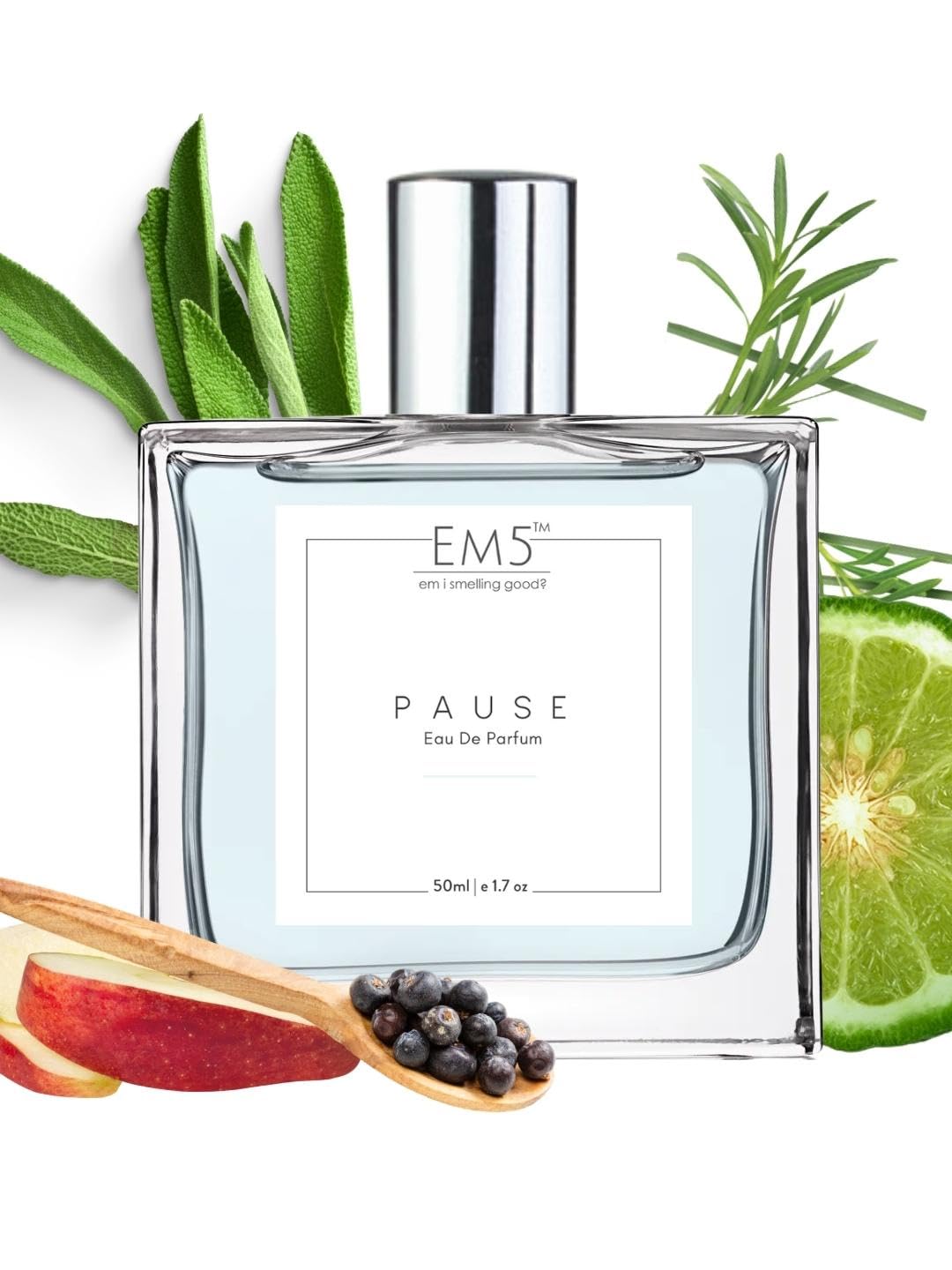 EM5 Pause Perfume for Men Strong & Long-Lasting Spray Aromatic Fresh Amber Fragrance Eau De Parfum