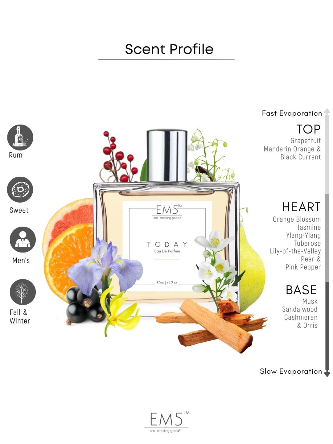 EM5 Today Eau De Parfum for Women Citrus & Woody Fragrance Strong Long-Lasting Perfume Spray for Day & Night Use