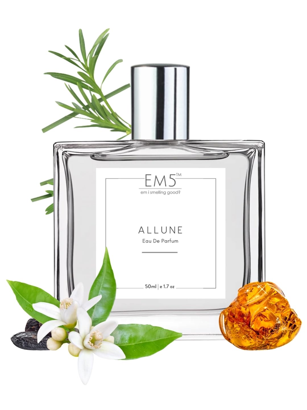 EM5 Allune Eau De Parfum for Men Citrus, Aromatic & Vanilla Fragrance Long-Lasting Perfume Spray