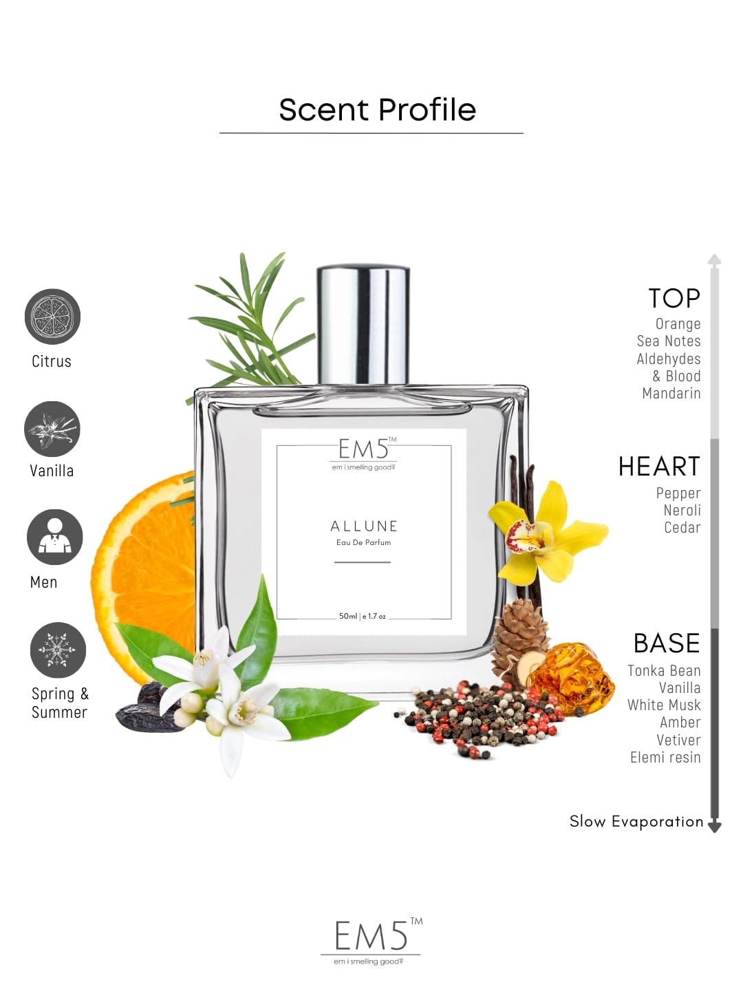 EM5 Allune Eau De Parfum for Men Citrus, Aromatic & Vanilla Fragrance Long-Lasting Perfume Spray